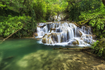 Waterfall in forest