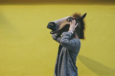 Close-up of a horse