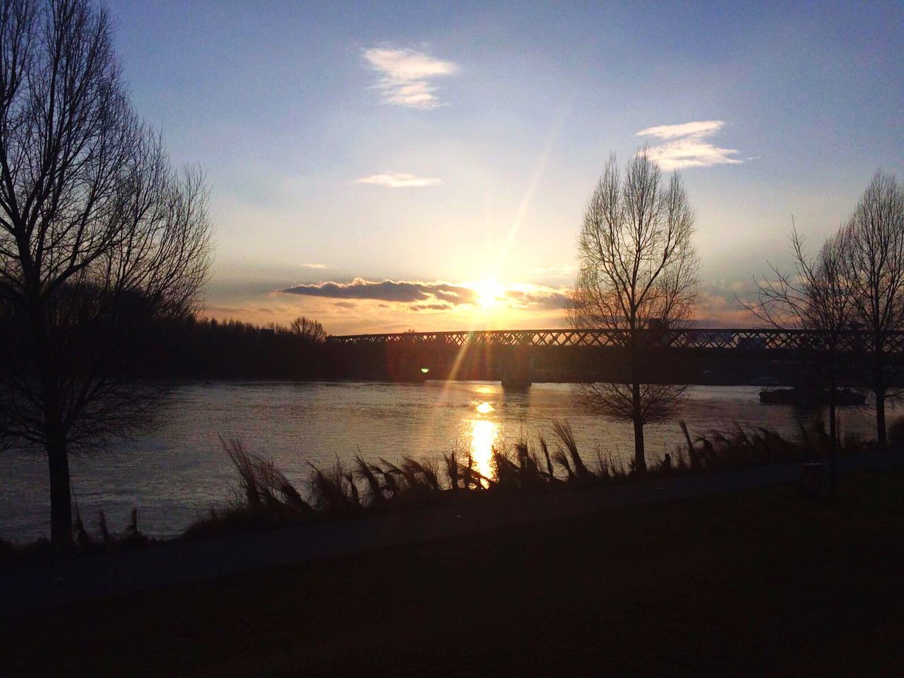 sunset, sun, silhouette, water, bare tree, sky, tranquil scene, tranquility, scenics, beauty in nature, tree, reflection, sunlight, lake, nature, river, idyllic, cloud - sky, sunbeam, outdoors