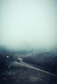 Road in foggy weather