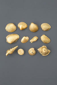 Golden shells arranging on grey.