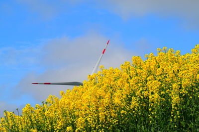 Low angle view of yellow flowering plants against sky and windmill blades