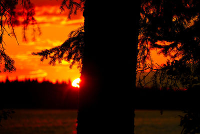 Silhouette trees against sky during sunset