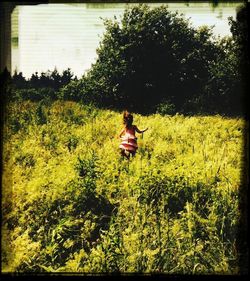 Full length of woman standing on grassy field