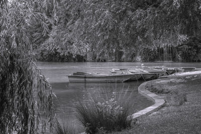 Scenic view of lake in forest