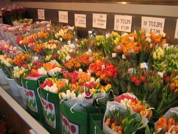 View of tulips at market stall