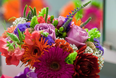 Close-up of multi colored flowers