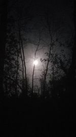 Silhouette trees against sky at night