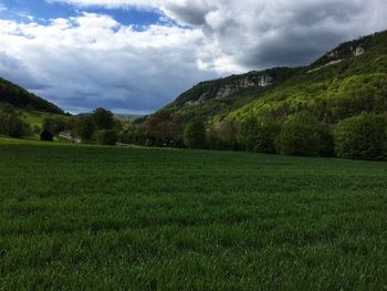 Scenic view of field against sky