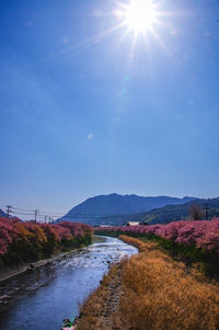 Scenic view of landscape against blue sky on sunny day