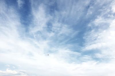 Low angle view of bird flying in sky