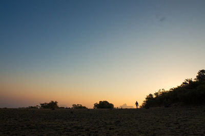 Silhouette trees on field against clear sky during sunset