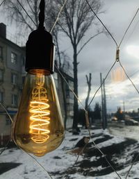 Close-up of illuminated light bulb in winter