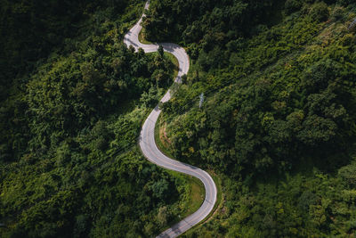 High angle view of road amidst trees in forest