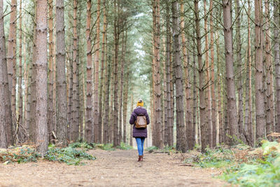Rear view of man walking on footpath amidst trees in forest
