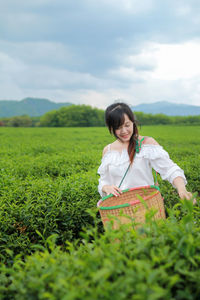 Smiling woman with basket picking leaves in tea plantation field