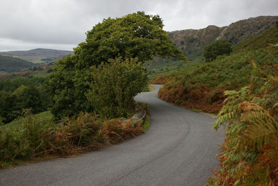 Road amidst trees against sky