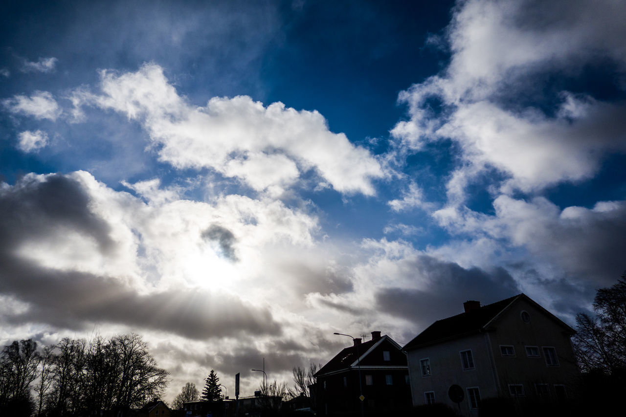 LOW ANGLE VIEW OF SILHOUETTE TREES AND BUILDING AGAINST SKY