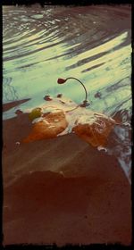 Close-up of water
