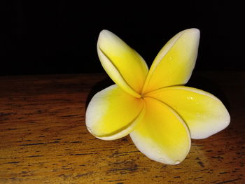 Close-up of yellow fruit on table