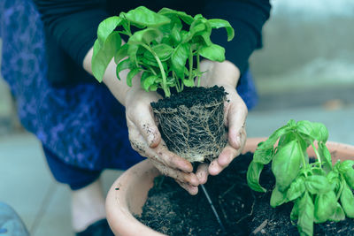 Midsection of woman holding potted plant