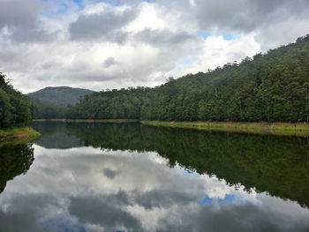 Reflection of trees in calm lake