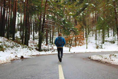 Rear view of man walking on road in forest