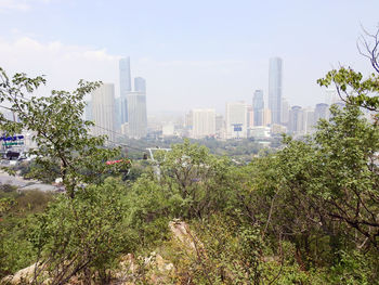 Trees and cityscape against sky