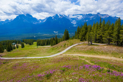 Scenic view of landscape and mountains against sky