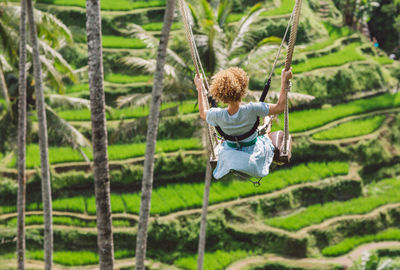 Rear view of girl swinging high