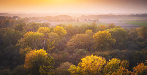 High angle view of trees and plants against sky during sunset