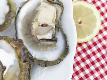 Close-up of sweet food