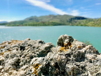 Close-up of rocks by sea against sky