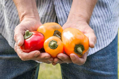 Midsection of man holding peppers