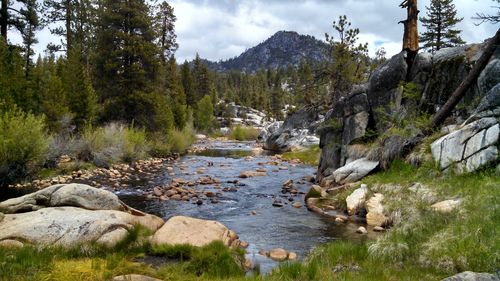 River flowing through rocks