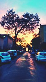 Cars parked on road at sunset