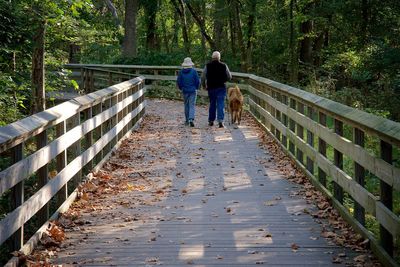 Rear view of people with dog walking on footbridge in forest