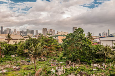 Trees and cityscape against sky