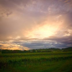 Scenic view of landscape against cloudy sky