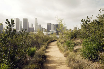 Walkway amidst trees and buildings against sky