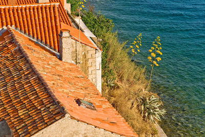 Rab, croatia, a view over the roof of traditional stone house with typical mediterranean plants.