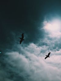 Low angle view of silhouette bird flying against sky