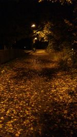 View of road at night