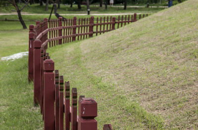 Trees on grassy field