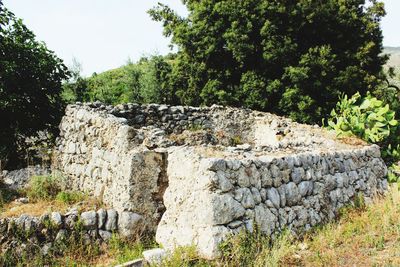 Stone wall by trees