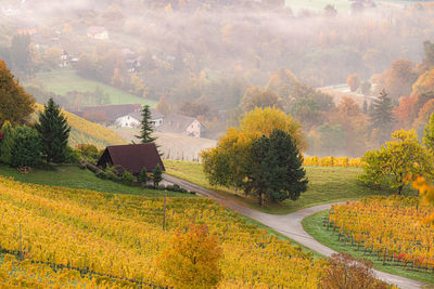 Autumn view from south styrian route in austria at hills in slovenia during sunraise. autumn 