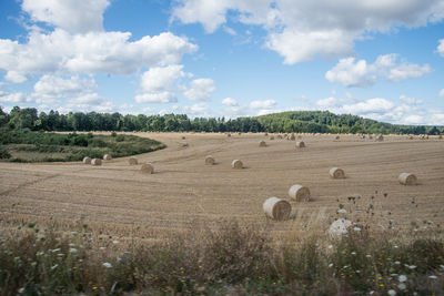 Hay bales on field against sky