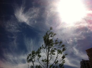 Low angle view of trees against cloudy sky