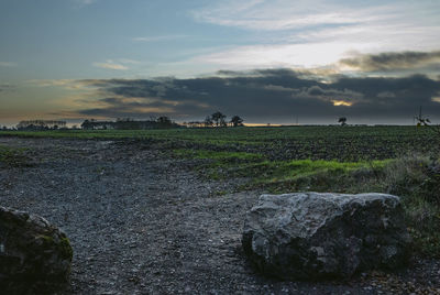 Scenic view of field against sky during sunset