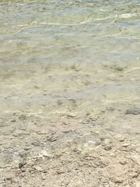 High angle view of shore